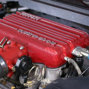 IMGP4450