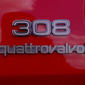 IMGP4451