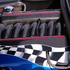 IMGP4504