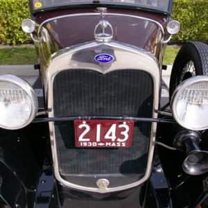 IMGP4516