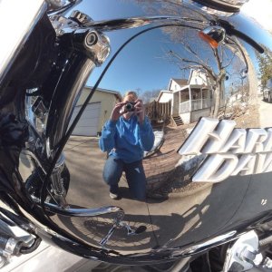 Harley Paint Correction Vivid Black