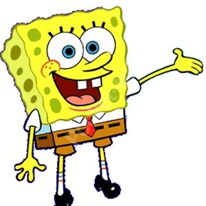 imgsbob