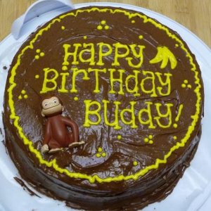 Buddy's Birthday Cake