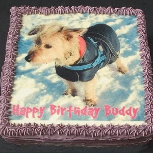 Buddy's Birthday Cake