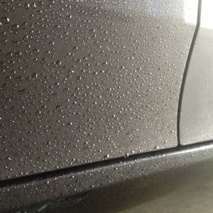 2012 Acura TL Opti-Coat
