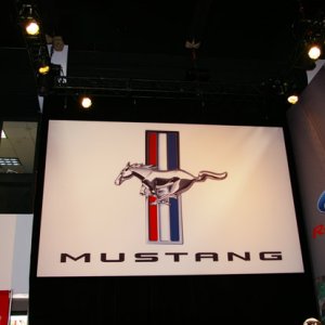 IMGP4679