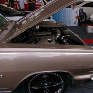 IMGP4765