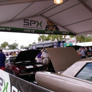 IMGP4769