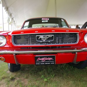 IMGP4869