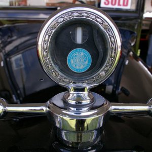 IMGP4881
