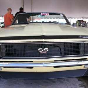 IMGP4968