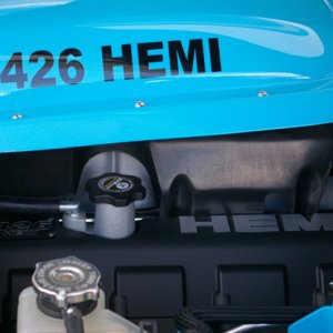 IMGP5032