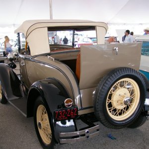 IMGP5040