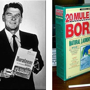 ReaganBorax
