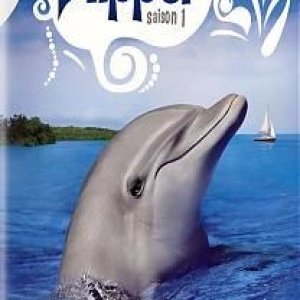 Flipper1