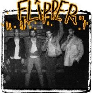 Flipper2