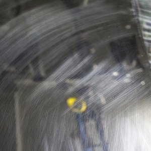 IMG_03402