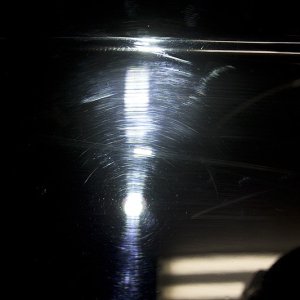 IMG_0348