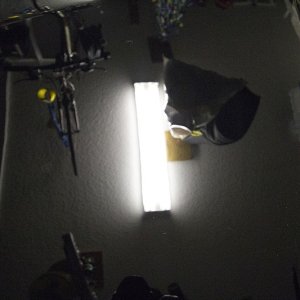 IMG_0366