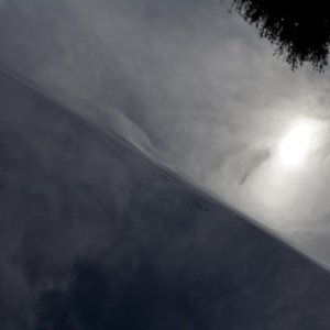 IMG_0379