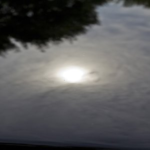 IMG_04231