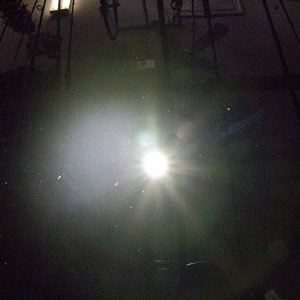 IMG_04333