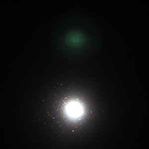 IMG_00592