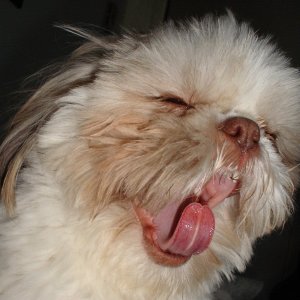 gimme_COFFEE_