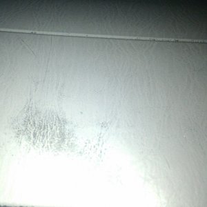 IMAG0151