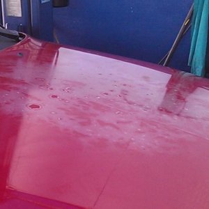 Stick a fork in it Clear Coat Failure