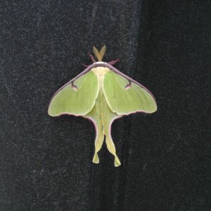 IMAG0275