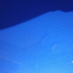 IMAG0272