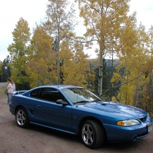 1998Bright Atlantic Blue Cobra