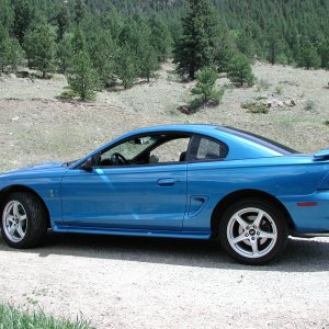 Mike's BAB Cobra