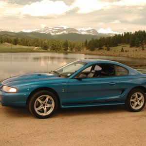 Mike's Bab Cobra