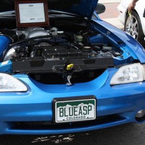 Mike's Bab Cobra