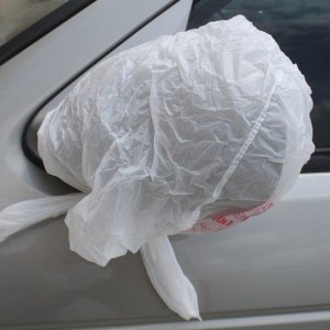 The Lowly Plastic Bag Tip by Mike Phillips