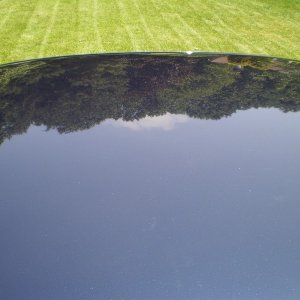 tn_P13000141