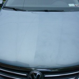 BFMSSW - 50/50 Hood After