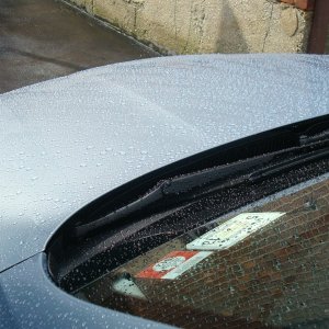 After_Rain_-_Front_-_Beading_-_DSC03280
