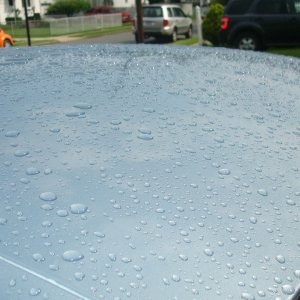 After_Rain_-_Roof_-_Beading_-_DSC03275