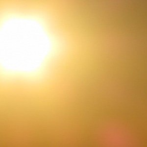 Full Sun