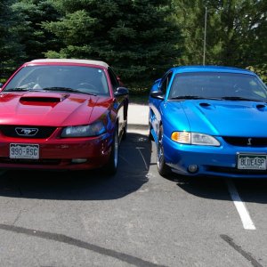 wife's 04' GT, and my 98' Cobra