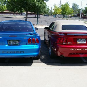 wife's 04' GT, and my 98' Cobra