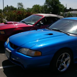 wife's 04' GT, and my 98' Cobra