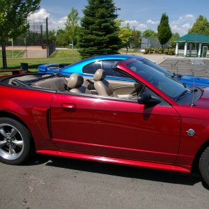wife's 04' GT, and my 98' Cobra