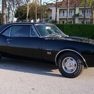 Swirls removed from black Camaro at AutogeekOnline.net Mike Phillips