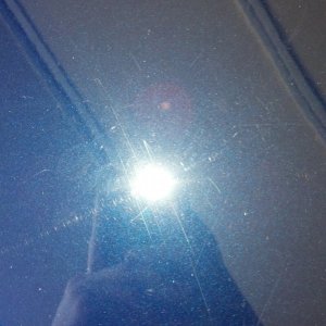 accord