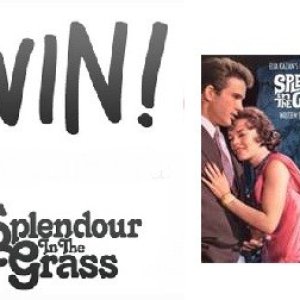 splendorinthegrass2