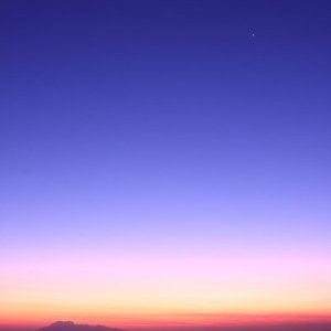 2490_130412205397_13020_n